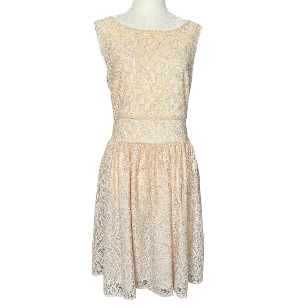 Loft Peachy Sleeveless Lace Dress with Metallic Silver Details 4